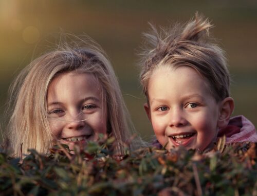 The Art and Science of Smile Design: An Overview